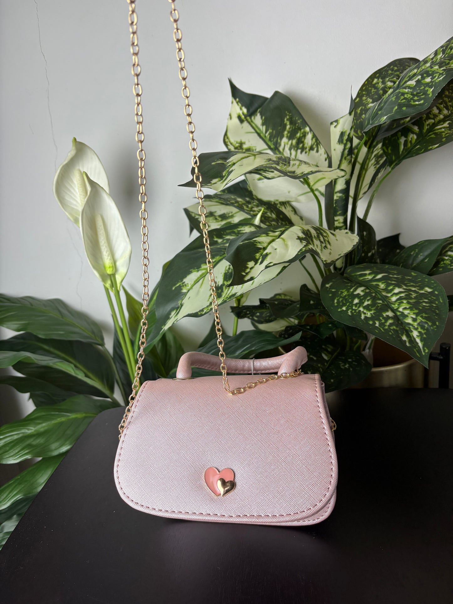 Girls Bag HO New (Different Colors)